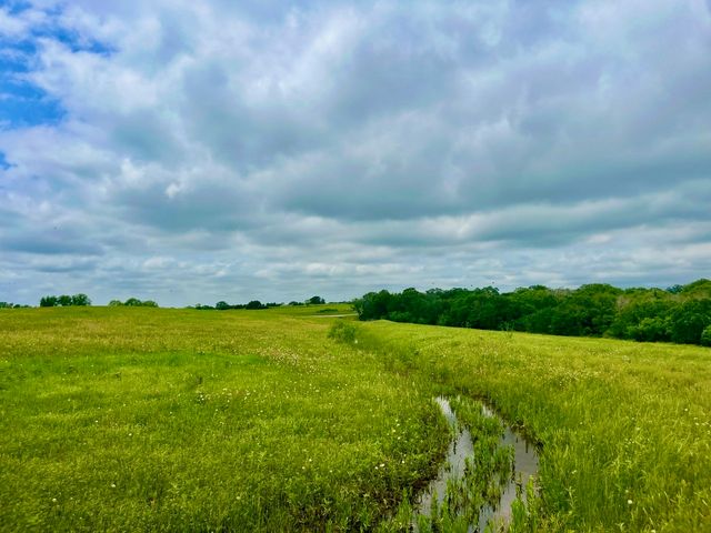 Lot 11 Clare Rd, Poolville, TX 76487
