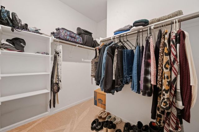 350 Shady Cedar Hill Lane, Willis, TX 77378