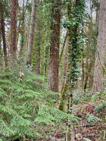 0 SW 230th Street, Vashon, WA 98070