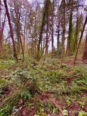 0 SW 230th Street, Vashon, WA 98070