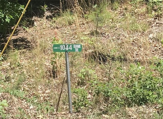 1044 Bunnie Trail, Hamptonville, NC 27020