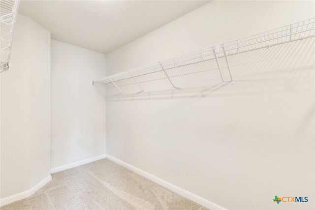 1628 Arbor Knot Drive, Kyle, TX 78640