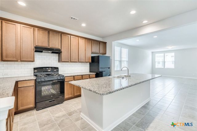 1628 Arbor Knot Drive, Kyle, TX 78640