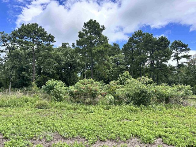 3156 Shadow Pine Dr., Larue, TX 75770
