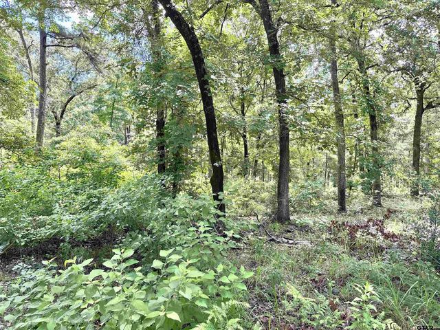 3156 Shadow Pine Dr., Larue, TX 75770