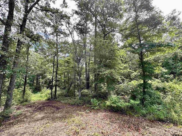 3156 Shadow Pine Dr., Larue, TX 75770