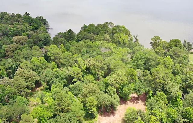 3156 Shadow Pine Dr., Larue, TX 75770