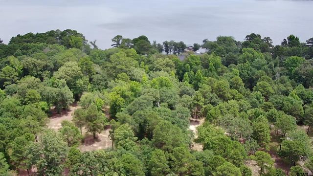 3156 Shadow Pine Dr., Larue, TX 75770