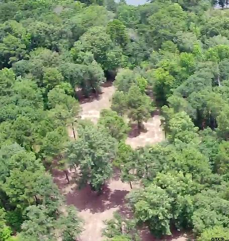 3156 Shadow Pine Dr., Larue, TX 75770