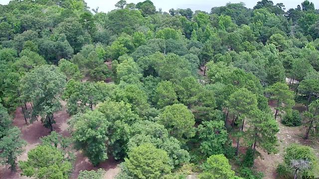 3156 Shadow Pine Dr., Larue, TX 75770