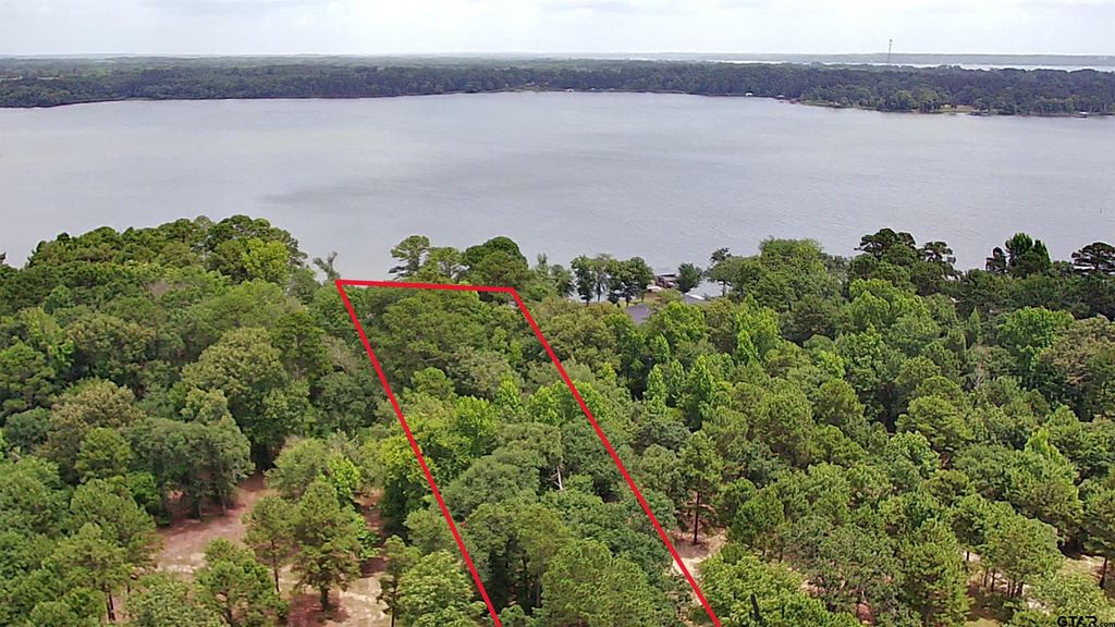 3156 Shadow Pine Dr., Larue, TX 75770