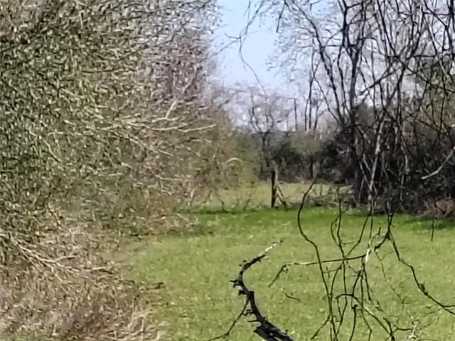 tbd Brumlow Road, Waller, TX 77484