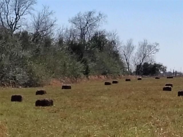 tbd Brumlow Road, Waller, TX 77484