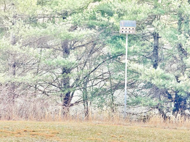 9245 Patterson DR, Bent Mountain, VA 24059