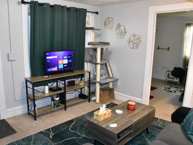 307 & 311 WALNUT Street, Meadville, PA 16335