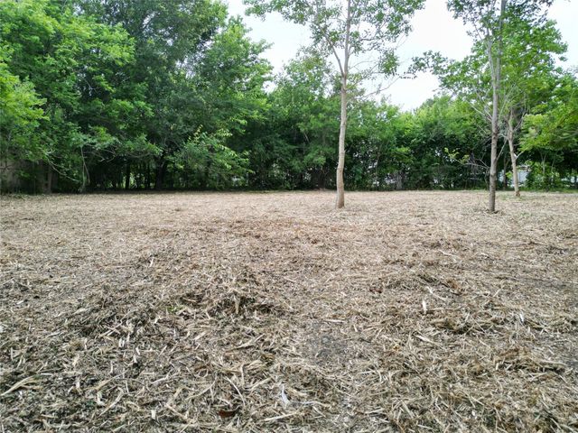 13515 Canterwell Road, Houston, TX 77047