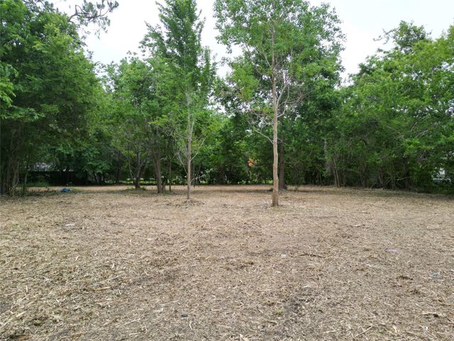 13515 Canterwell Road, Houston, TX 77047