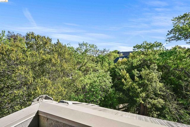 1000 Dewing Ave 409, Lafayette, CA 94549