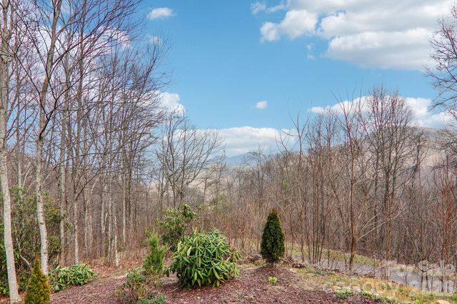 14 Chandra Lane, Clyde, NC 28721