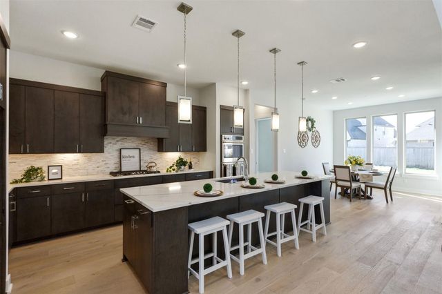 21311 Blue Wood Aster Court, Cypress, TX 77433