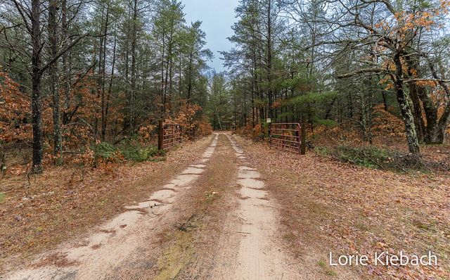 3710 E US 10, Chase Twp, MI 49623