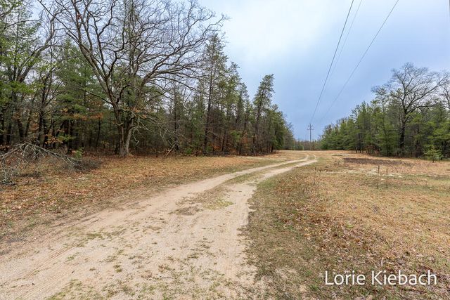 3710 E US 10, Chase Twp, MI 49623