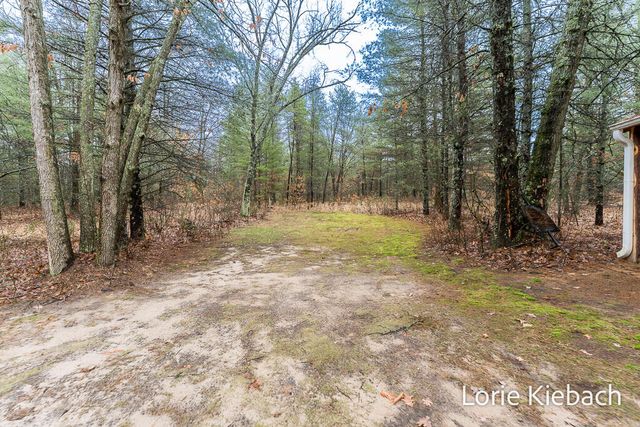 3710 E US 10, Chase Twp, MI 49623