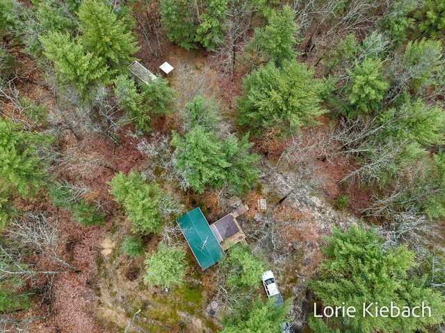 3710 E US 10, Chase Twp, MI 49623