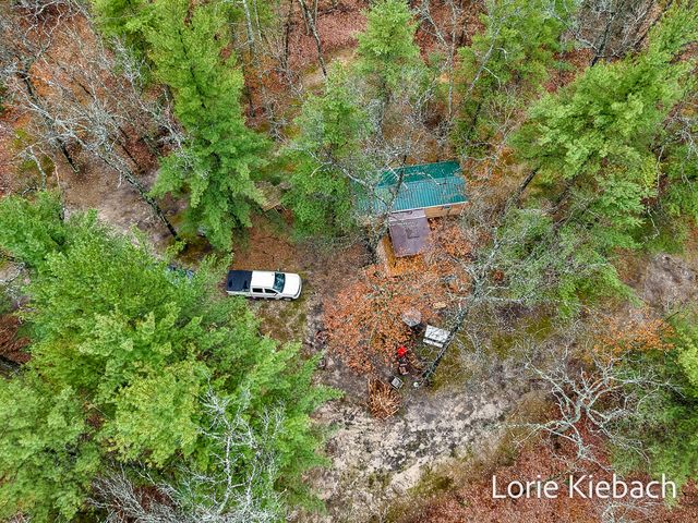 3710 E US 10, Chase Twp, MI 49623