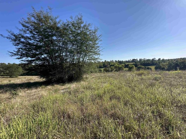 0 MIDDLEBURG RD, Decaturville, TN 38329