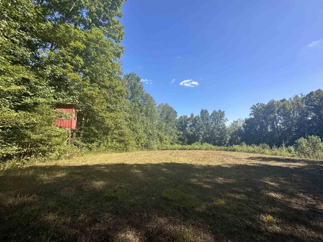 0 MIDDLEBURG RD, Decaturville, TN 38329