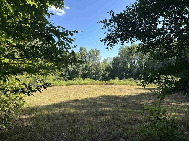 0 MIDDLEBURG RD, Decaturville, TN 38329