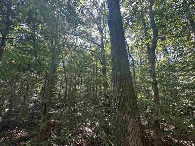 0 MIDDLEBURG RD, Decaturville, TN 38329