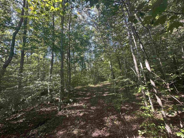 0 MIDDLEBURG RD, Decaturville, TN 38329