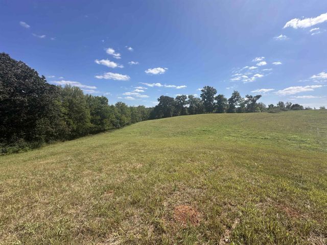 0 MIDDLEBURG RD, Decaturville, TN 38329