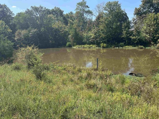 0 MIDDLEBURG RD, Decaturville, TN 38329