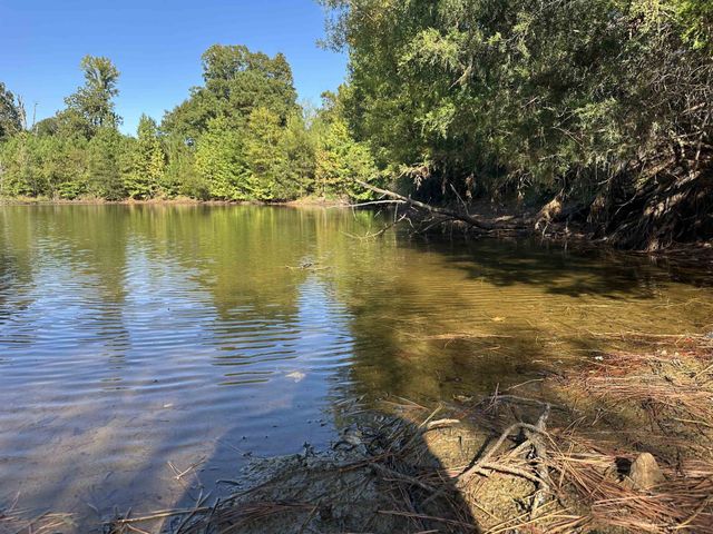 0 MIDDLEBURG RD, Decaturville, TN 38329