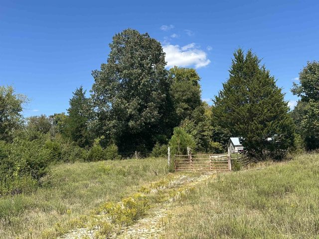 0 MIDDLEBURG RD, Decaturville, TN 38329