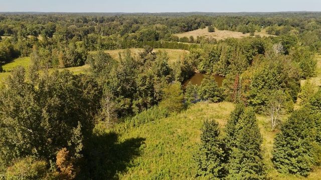 0 MIDDLEBURG RD, Decaturville, TN 38329