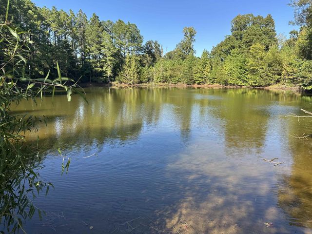 0 MIDDLEBURG RD, Decaturville, TN 38329