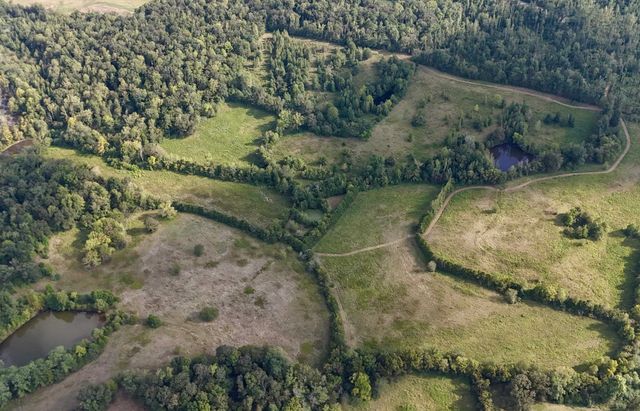 0 MIDDLEBURG RD, Decaturville, TN 38329