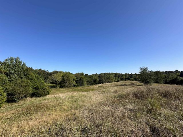 0 MIDDLEBURG RD, Decaturville, TN 38329