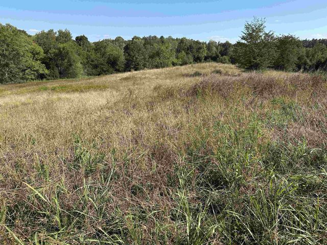 0 MIDDLEBURG RD, Decaturville, TN 38329