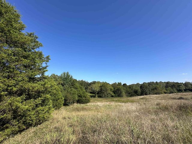 0 MIDDLEBURG RD, Decaturville, TN 38329