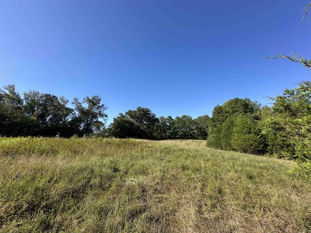 0 MIDDLEBURG RD, Decaturville, TN 38329