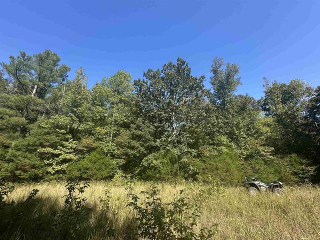 0 MIDDLEBURG RD, Decaturville, TN 38329