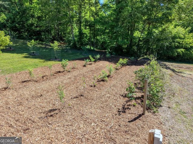 4836 Owltown Road, Blairsville, GA 30512