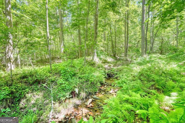 4836 Owltown Road, Blairsville, GA 30512