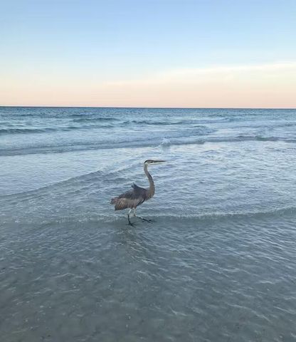 554 NW Coral Court 303, Fort Walton Beach, FL 32548