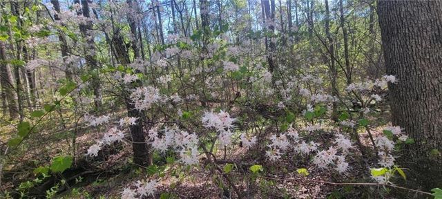 22 Vineyard Road, Dallas, GA 30132